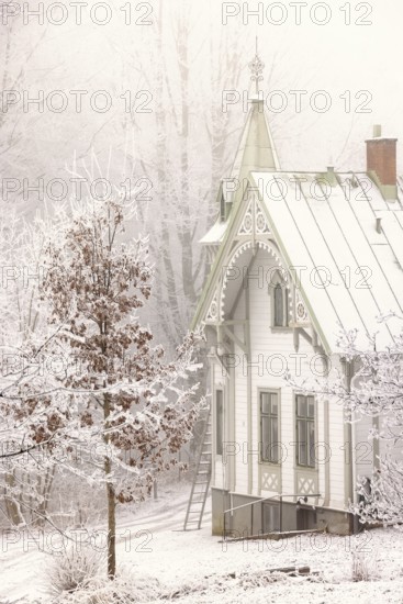 Winter day with snow and hoarfrost on the trees in the garden by an idyllic old beautiful white