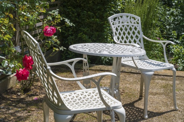 Sitting area in the garden, table and two garden chairs, framed by blooming roses, Westphalia,