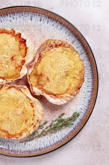 Scallop, baked in shells, with cheese and spices, on a plate, homemade