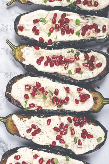 Fried eggplant with sauce, decorated with microgreens and pomegranate seeds, eggplant appetizer,