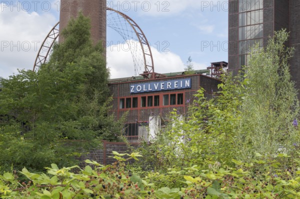 Zollverein coking plant, visitor centre, sun wheel, solar-powered Ferris wheel, blackberry bushes