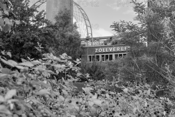 Zollverein coking plant, visitor centre, blackberry bushes in the foreground, sun wheel, black and