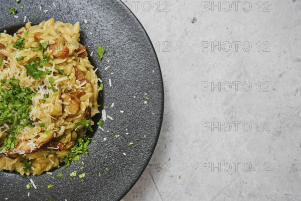 A delicious plate of risoni pasta combined with porcini mushrooms is presented beautifully. The