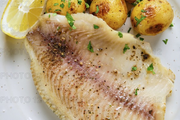 Flaky fish fillet is seasoned and served with roasted golden potatoes and fresh lemon slices. A