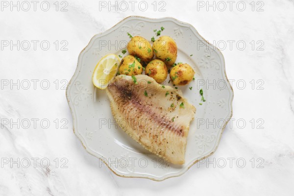 A perfectly grilled red seabream fish fillet alongside tender baby potatoes sprinkled with herbs. A