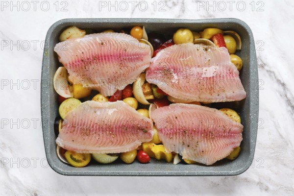 Fresh white fish fillets are arranged on a bed of colorful vegetables, including tomatoes and bell