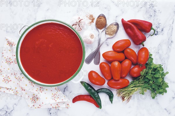 Georgian Satsebeli sauce, made from tomatoes and sweet peppers, with spices, homemade, no people