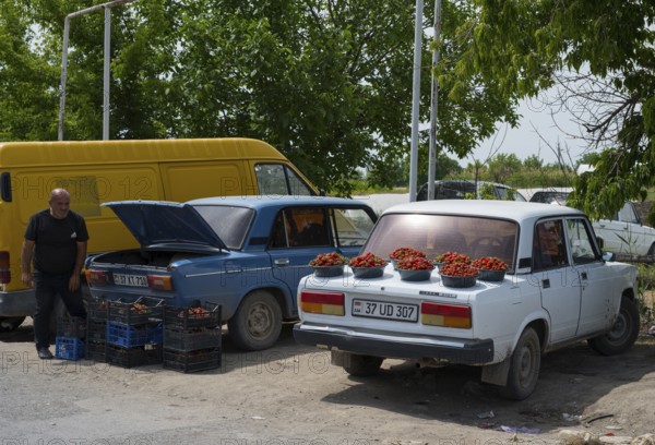 Cars parked at the side of the road, loaded with strawberries. A man stands next to them. Selling