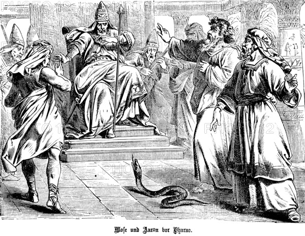 Moses and Aaron in front of Pharaoh, God hardens Pharaoh's heart, Aaron throws a staff and the