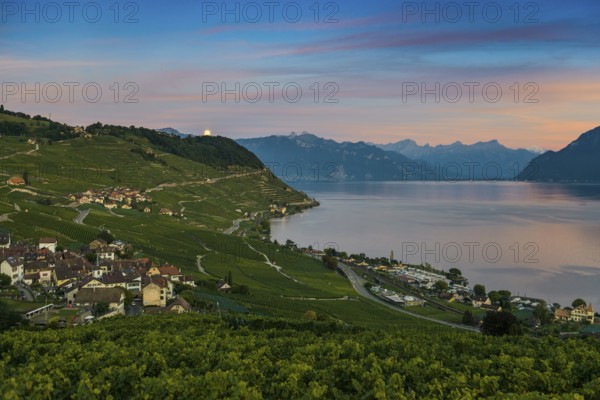 Picturesque village in the vineyards by the lake, Epesses, sunset, full moon, Lavaux, UNESCO World