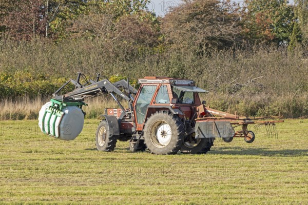 Tractor transporting bales of silage wrapped in film, Falshöft, Pommerby, Schleswig-Holstein,