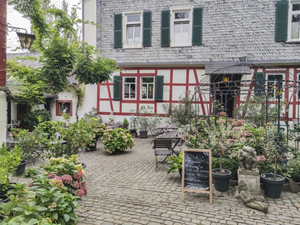 A rustic courtyard with a half-timbered house, surrounded by plants and flowers on cobblestones,