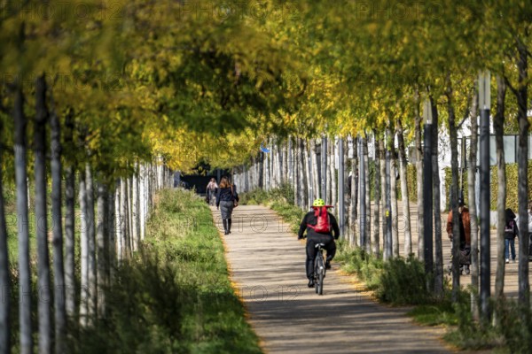 Cycle path, footpath, avenue, residential area along Toulouser Allee, high-rise buildings with
