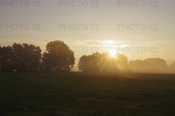 Landscape, Sunrise, Meadow, High seat, Mood, Autumn, North Rhine-Westphalia, Germany, In the