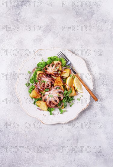 Grilled octopus with baked potatoes and fresh herbs, on a decorative light plate, homemade, no
