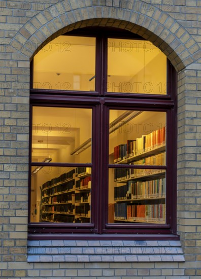 A view through the window of a library, shelves full of books illuminated by a warm, yellow light,