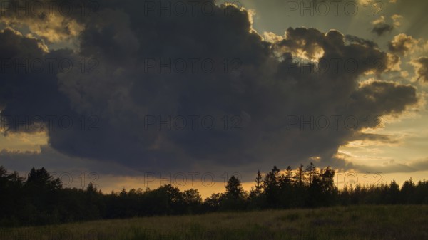 Dense cloud cover at sunset, atmospheric ambience with silhouettes of trees against a dramatic sky.