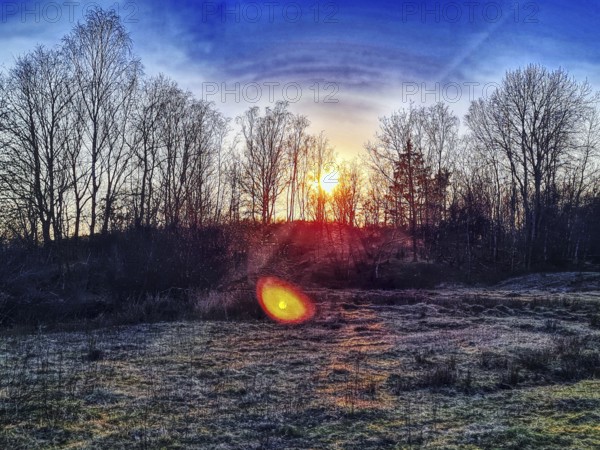 Sunset behind trees with purple-coloured sky and luminous atmosphere. Heaths and rough grassland