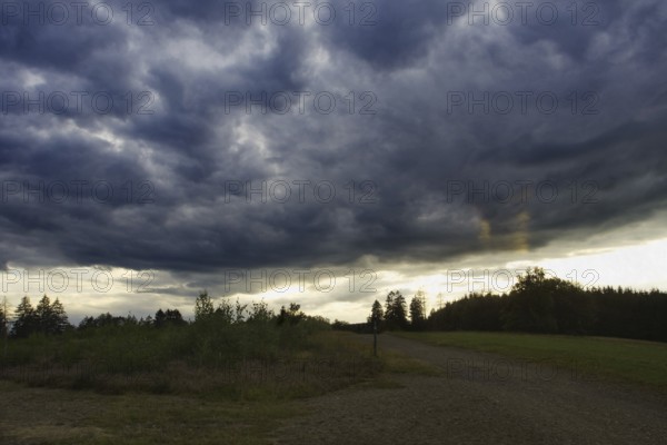 Dramatic, dark clouds drift across a landscape at dusk. Heaths and rough grassland nature reserve