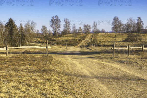 Broad landscape with fields and fences under a clear blue sky. Heaths and rough grassland nature