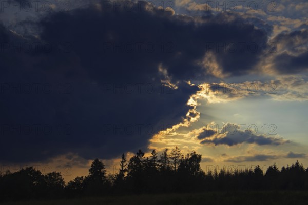 Dramatic cloud formations at sunset, trees silhouetted against a colourful evening sky. Heaths and