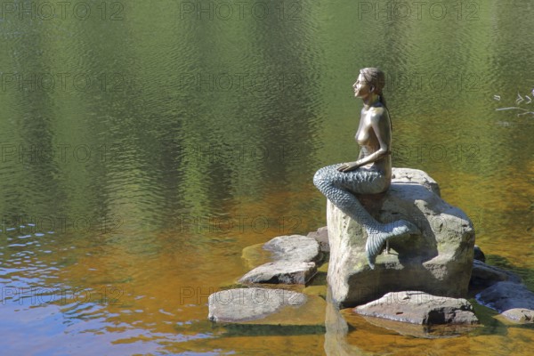 Mermaid sitting on a rock in the water, bronze sculpture, modern art, lake nymph, stone, Mummelsee,