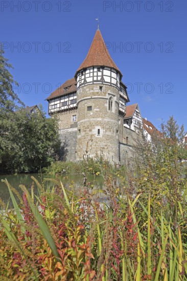Zollern Castle built ca. 1255 with water tower with grasses, autumn colours, Castle, Balingen,