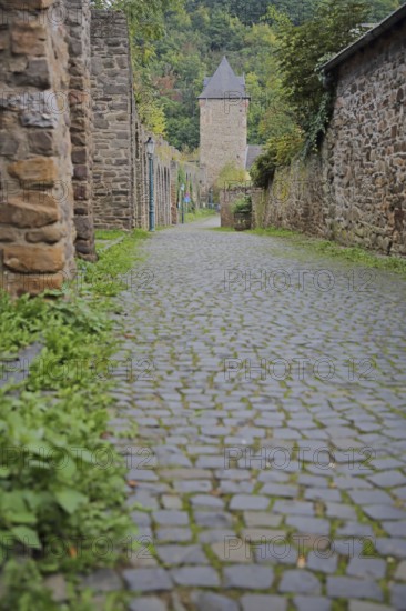 Historic city wall with Werther Tor, city tower, city gate, Wallgasse, city fortifications,