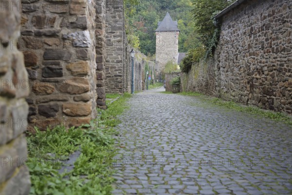 Historic town wall with Werther Tor, town tower, town gate, Wallgasse, town fortification,