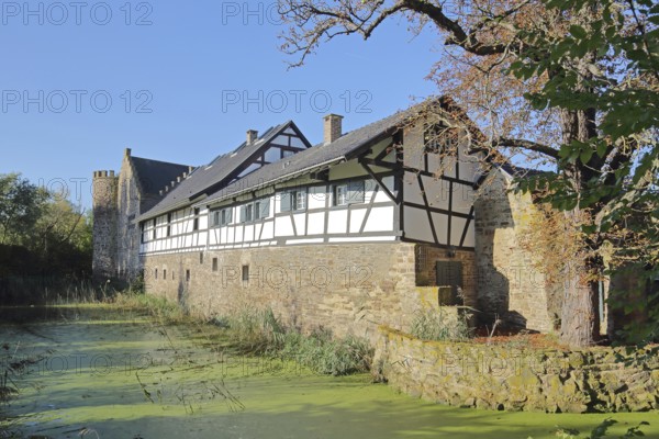 Clover castle built 14th century with moat, moated castle, half-timbered house, pond, Weidesheim,