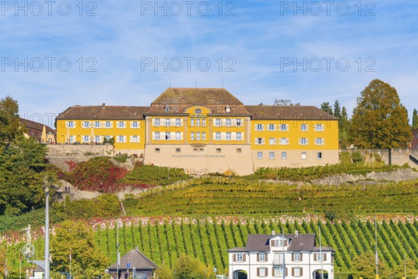 Yellow building on a hill surrounded by vines with an autumnal atmosphere, Meersburg, Lake