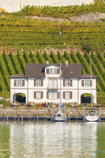 Small house on the lakeshore in front of extensive vineyards with boats in the foreground,