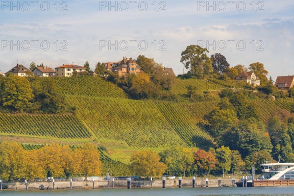 Hills with vineyards and houses in autumn, river in the foreground, Meersburg, Lake Constance,