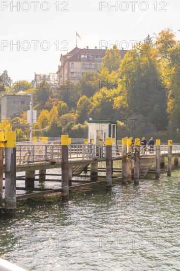 Wooden jetty on the lakeshore with autumnal trees and promenade, Mainau Island, Lake Constance,