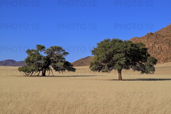 Landscape on the Kanaan farm of the nature conservation organisation Naankuse, Tirasberge, Karas