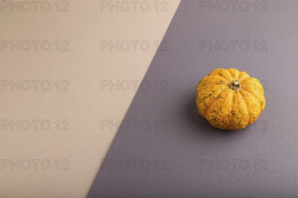 Orange Pumpkin on beige and gray pastel paper background. Side view, copy space, flat lay. healthy
