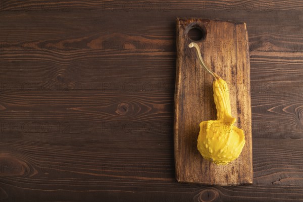 Decorative orange Pumpkin on cutting board on brown wooden background, top view, flat lay, copy