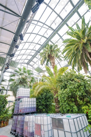 Large tanks and palm trees under a greenhouse roof with an industrial flair, Pepperoni Haus, Mainau