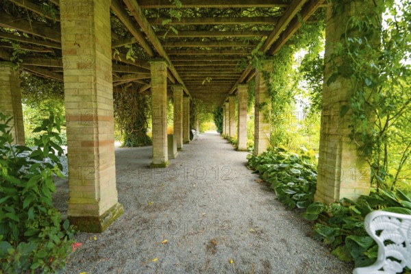 A long gravel path under a pergola covered with plants in a garden, Mainau Island, Lake Constance,