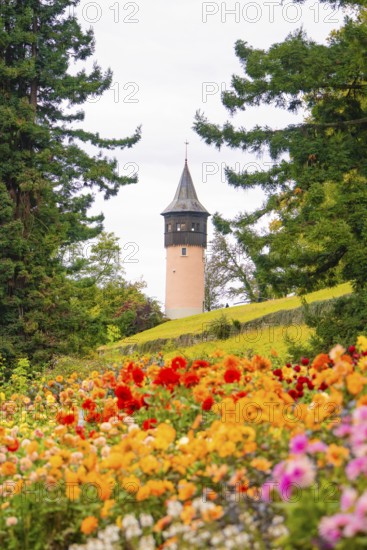 Park with colourful flowers and view of a tower between trees, Mainau flower island, Lake