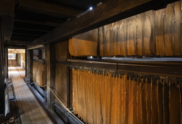 Cardboard hung up to dry, drying plant, factory hall, former paper factory and mill for the