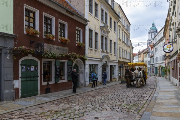 Horse-drawn carriage in the Burgstraße, Church of Our Lady, Jungstil houses, Old Town, Meissen,
