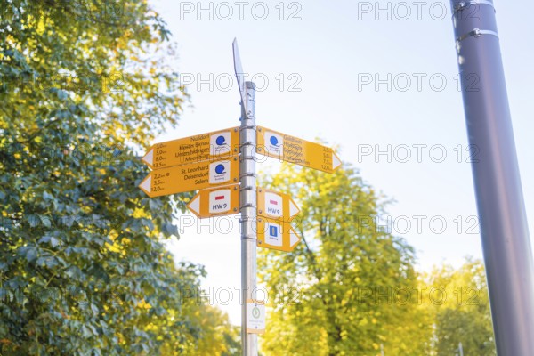 Yellow signposts in front of autumnal trees and a sunny sky with directions, Überlingen, Lake
