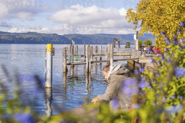 Landing stage at a lake with flowers and people enjoying the autumn atmosphere, Überlingen, Lake
