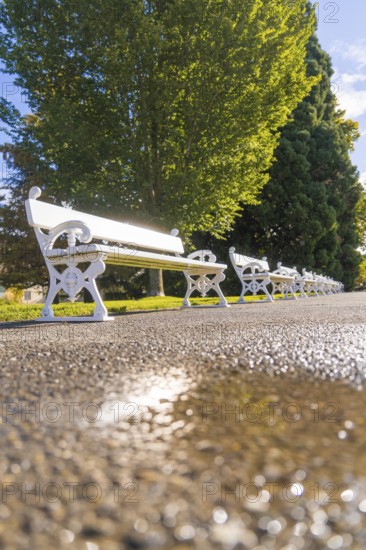 White benches in an avenue, with bright sun in the background, quiet atmosphere, Überlingen, Lake