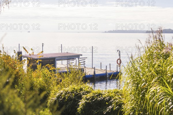 A jetty juts out into a calm lake, surrounded by lush greenery and bathed in warm sunlight,