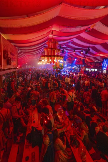 Lively celebration with intense red lighting in a marquee, Cannstatter Wasen folk festival,