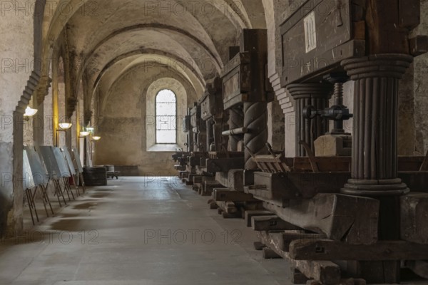 Lay refectory with historic wine presses, dining room of the lay brothers, Eberbach Monastery,