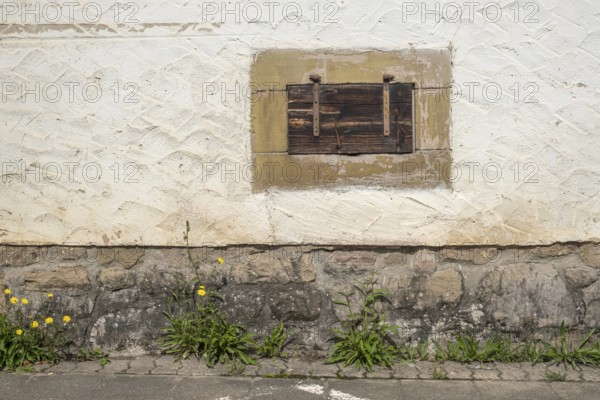 Cellar window with wooden shutter, Göcklingen, Southern Palatinate, Palatinate,