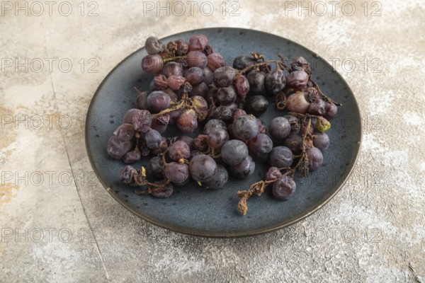 Bunches of rotten and Dry Red wine grapes on blue plate on brown concrete background, harvest,